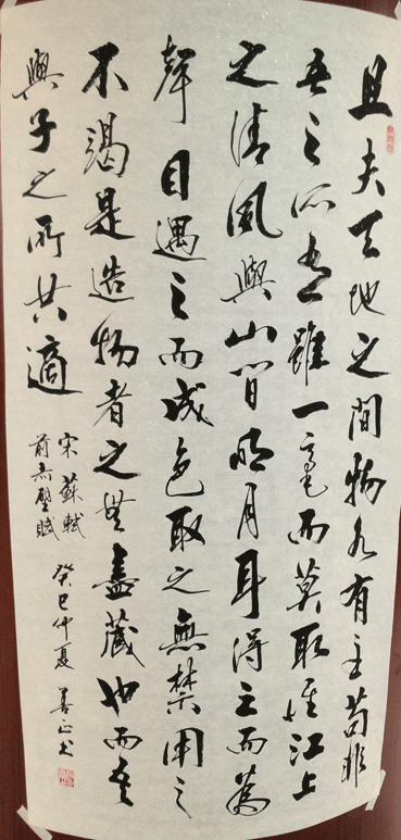 赵善正
