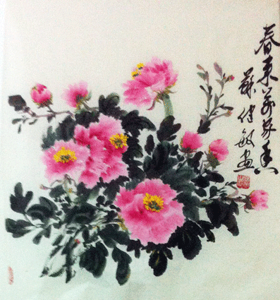 苏建敏